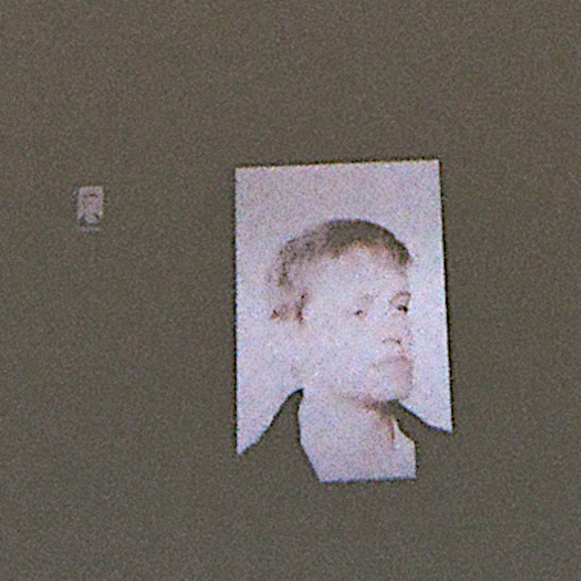 Grey Streak Image 07